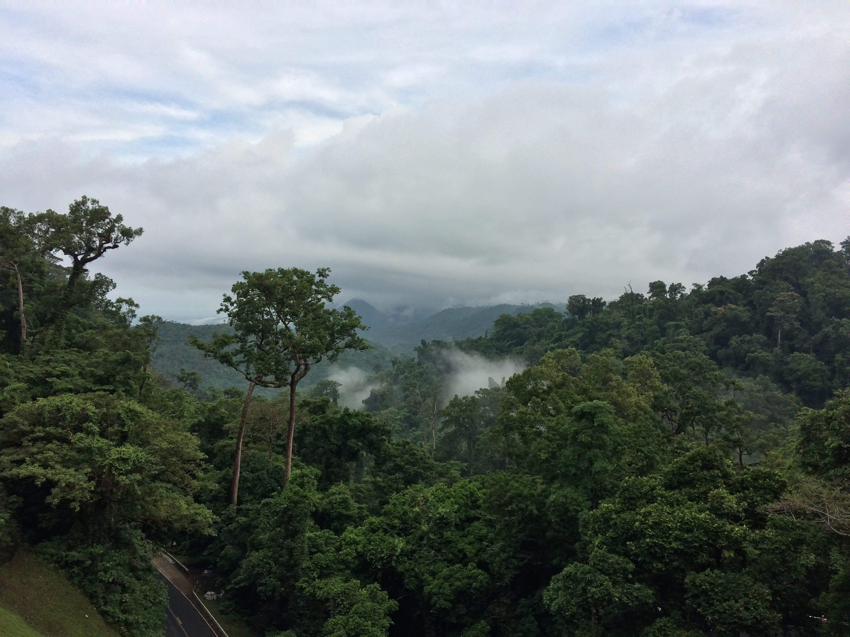 May your trails be crooked, winding, lonesome, dangerous, leading to the most amazing view. May your mountains rise into and above the clouds. -Edward Abbey